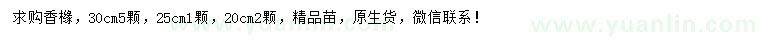 求購20、25、30公分香櫞