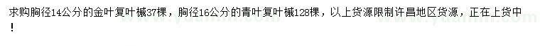 求購(gòu)胸徑14公分金葉復(fù)葉槭、16公分青葉復(fù)葉槭