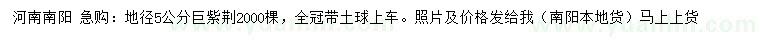 求購地徑5公分巨紫荊