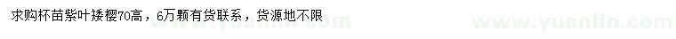 求購高70公分紫葉矮櫻