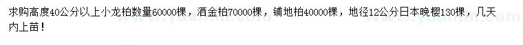 求購小龍柏、灑金柏、鋪地柏等