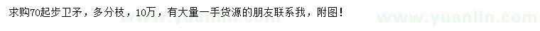求購70公分起步衛(wèi)矛