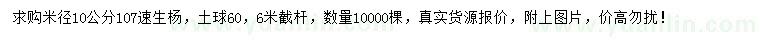 求購米徑10公分107速生楊