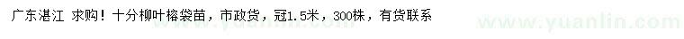 求購10公分柳葉榕
