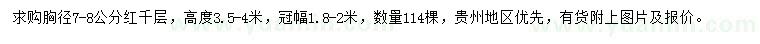 求購胸徑7-8公分紅千層