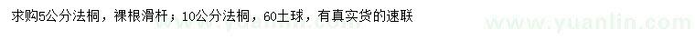 求購5、10公分法桐