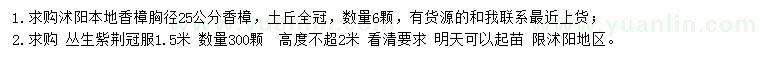 求購胸徑25公分香樟、冠幅1.5米叢生紫荊