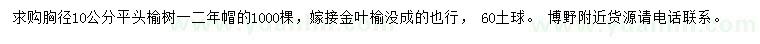 求購胸徑10公分榆樹、嫁接金葉榆