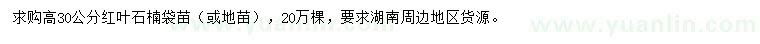 求購(gòu)高30公分紅葉石楠