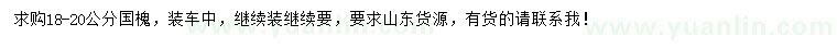求購18-20公分國槐