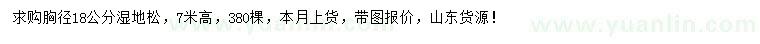 求購胸徑18公分濕地松
