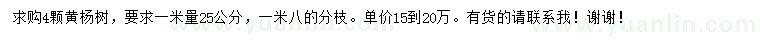 求購1米量25公分黃楊