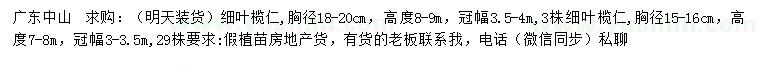 求購(gòu)胸徑15-16、18-20公分細(xì)葉欖仁