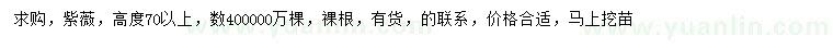 求購高度70公分以上紫薇