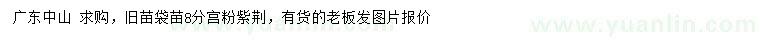 求購(gòu)8公分宮粉紫荊
