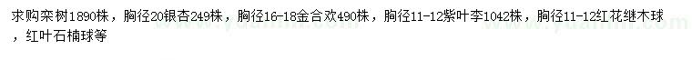 求購欒樹、金合歡、紫葉李等