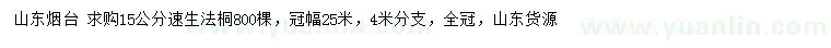 求購15公分速生法桐