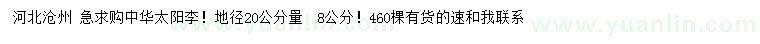 求購地徑20公分量8公分太陽李
