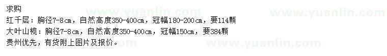 求購胸徑7-8公分紅千層、大葉山欖