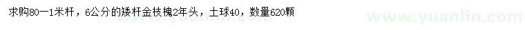 求購6公分矮桿金枝槐