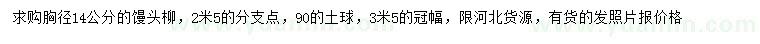 求購(gòu)胸徑14公分饅頭柳