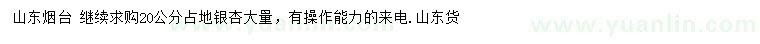 求購(gòu)20公分占地銀杏