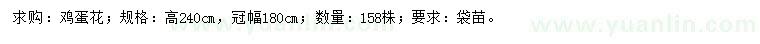 求購高240公分雞蛋花
