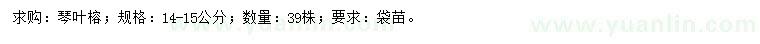 求購14-15公分琴葉榕