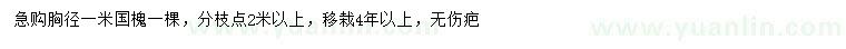 求購(gòu)胸徑1米國(guó)槐