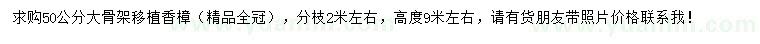 求購50公分香樟