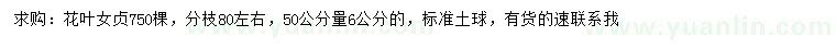 求購50公分量6公分花葉女貞