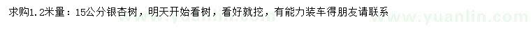 求購1.2米量15公分銀杏