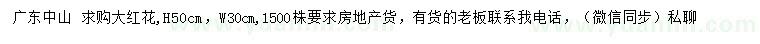 求購高50公分大紅花
