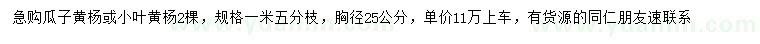 求購胸徑25公分瓜子黃楊或小葉黃楊