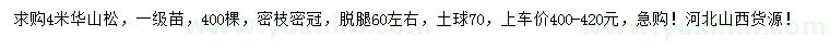 求購(gòu)4米華山松