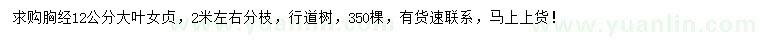 求購(gòu)胸徑12公分大葉女貞
