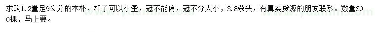 求購1.2米量足9公分本樸