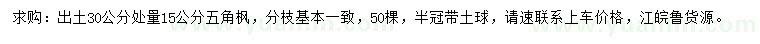 求購30量15公分五角楓
