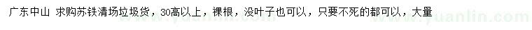 求購(gòu)高30公分以上蘇鐵