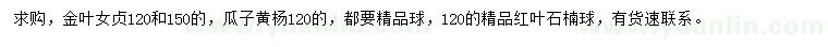 求購金葉女貞球、瓜子黃楊球、紅葉石楠球