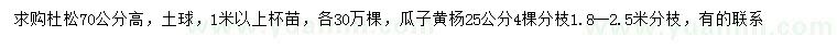 求購(gòu)高70公分杜松、25公分瓜子黃楊