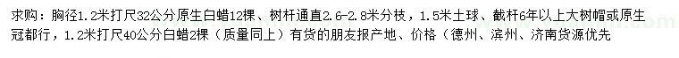 求購胸徑1.2米量32、40公分原生白蠟