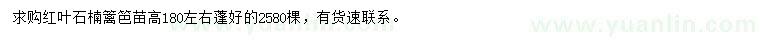 求購高180公分紅葉石楠