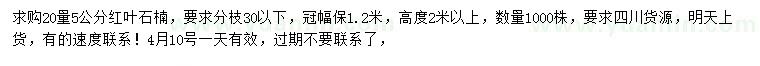求購20量5公分紅葉石楠