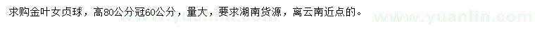 求購(gòu)高80公分金葉女貞球