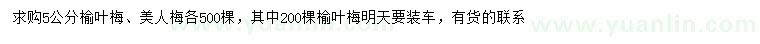 求購5公分榆葉梅、美人梅
