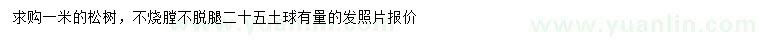 求購(gòu)1米松樹(shù)