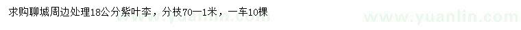 求購18公分紫葉李