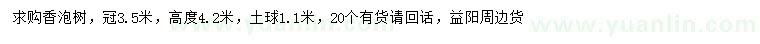 求購冠幅3.5米香泡樹