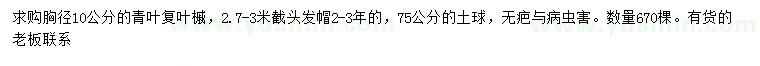 求購胸徑10公分青葉復(fù)葉槭